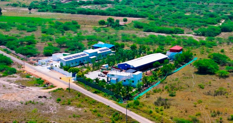 Our Company